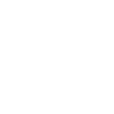 bird (1) Bird Icon White