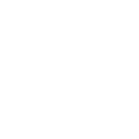 Phone icon white